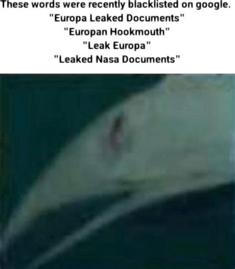 hookmouth|Were NASA Documents Leaked About 'Life On Europa' And What Is The.